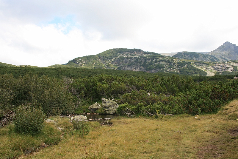 Bulgaria 2008 531